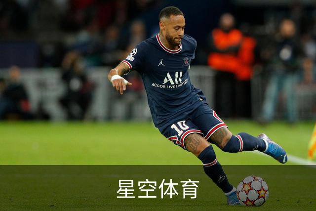 星空体育公司介绍图